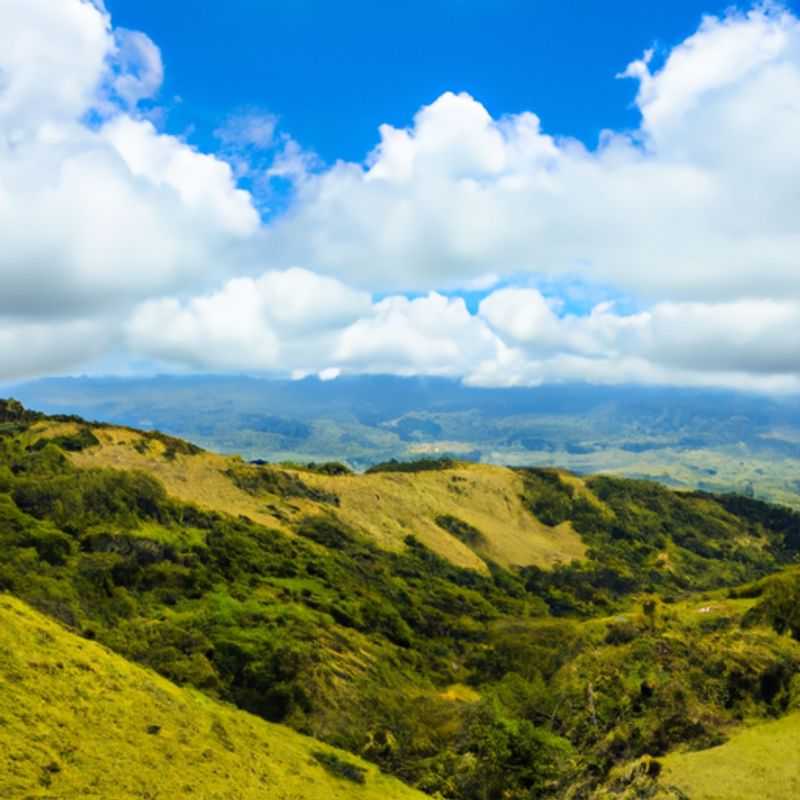 Visite hivernale du Jardin des colibris à Monteverde, Costa Rica : votre guide expert vous raconte ses aventures dans ce paradis ornithologique