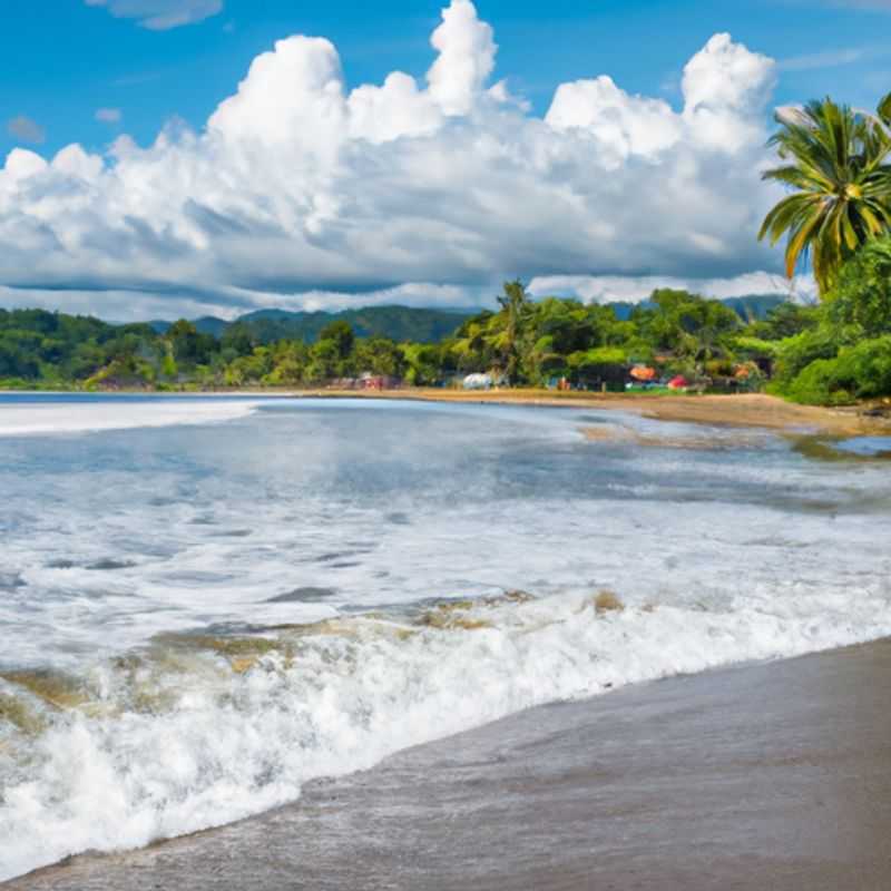 Discover the Enchanting Wildlife of Ara Manzanillo Wildlife Refuge in Winter