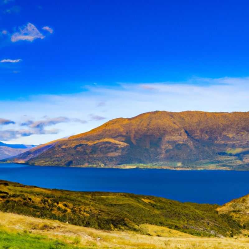 Queenstown Farmers Market: A Slice of Kiwi Life in the Heart of the Southern Alps