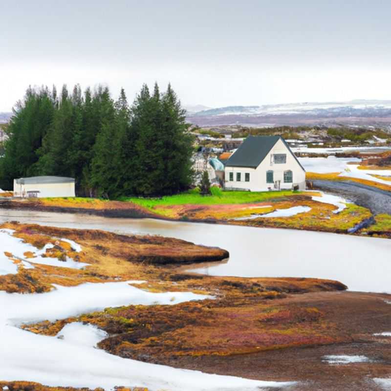 Cuatro viajeros recorriendo la pintoresca carretera de circunvalación de Islandia, rodeados del vibrante follaje otoñal que pinta el paisaje de tonos dorados y escarlata, mientras se embarcan en una aventura de 5 días para descubrir las maravillas naturales de la isla.