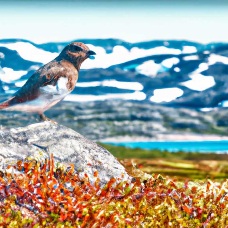 Découverte de la culture sami dans le Kungsleden, en Suède au printemps