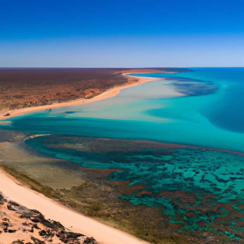 The Pinnacles Desert Springtime Road Trip: A Western Australian Adventure
