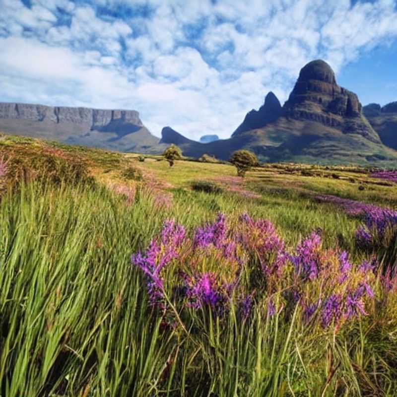 Le Drakensberg en été : un paradis sud-africain pour des vacances ensoleillées ?<h3>Vacances d'été dans le Drakensberg : météo idéale et aventures en montagne</h3><h3>Soleil et montagnes : explorer le Drakensberg en été</h3><h3>Drakensberg, Afrique du Sud : la chaleur estivale appelle à l'aventure</h3><h3>L'été au Drakensberg : escapades en montagne et découvertes inoubliables</h3><h3>Découvrir le Drakensberg en été : le guide du voyageur numérique</h3><h3>Le Drakensberg sous le soleil estival : conseils et expériences pour un voyage unique</h3><h3>Vacances estivales au Drakensberg : une immersion au cœur de la nature sud-africaine</h3>