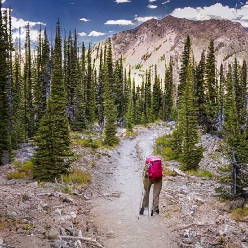 Le Sentier de la Crête du Pacifique au printemps : Fêtes de printemps, prix élevés et autres considérations<h3>Randonnée sur le Sentier de la Crête du Pacifique pendant les vacances de printemps : Mon expérience personnelle et mes conseils</h3><h3>Vacances de printemps sur le PCT : Est-ce une bonne idée ? Avantages et inconvénients à considérer.</h3><h3>Le PCT au printemps : Beauté florissante, foule printanière - Mon aventure et mes réflexions</h3><h3>Couleurs printanières et foules sur le Pacific Crest Trail : Une perspective de voyageuse numérique</h3><h3>Sentier de la Crête du Pacifique : Mon escapade printanière – éviter les pièges et profiter au maximum !</h3><h3>Découvrir le PCT au printemps : Conseils pour un voyage réussi, malgré la foule et les prix.</h3><h3>Le charme printanier du PCT : Une aventure enrichissante malgré la hausse des prix et de l'affluence.</h3>