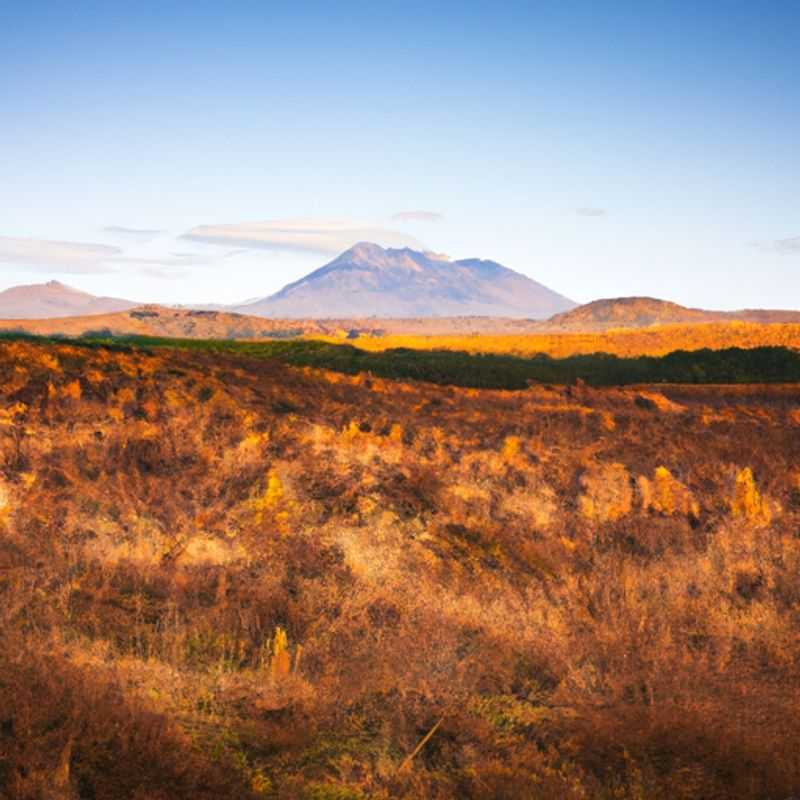 A lone traveler embarks on a breathtaking journey through the Tongariro Northern Circuit, New Zealand, during the vibrant hues of autumn, surrounded by stunning volcanic landscapes and lush greenery.