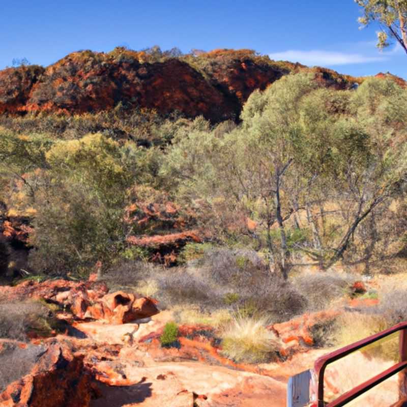 Trekking the Kings Canyon Rim Walk: A Journey into the Heart of Australia's Outback
