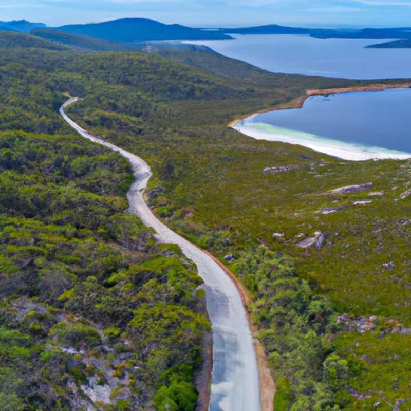 Valley of the Giants in Winter&#58; A Tour Guide's Perspective