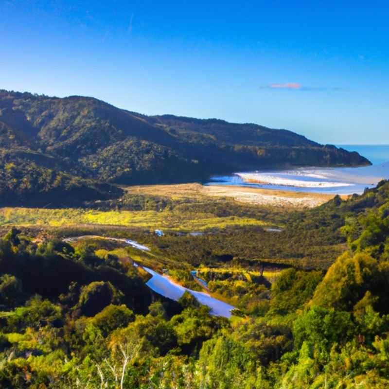 Camping Heaphy Track&#58; Top 5 Places for Families Heaphy Hut&#44; Lewis Hut&#44; Mackay Hut&#44; James Mackay Campsite&#44; Scotts Beach