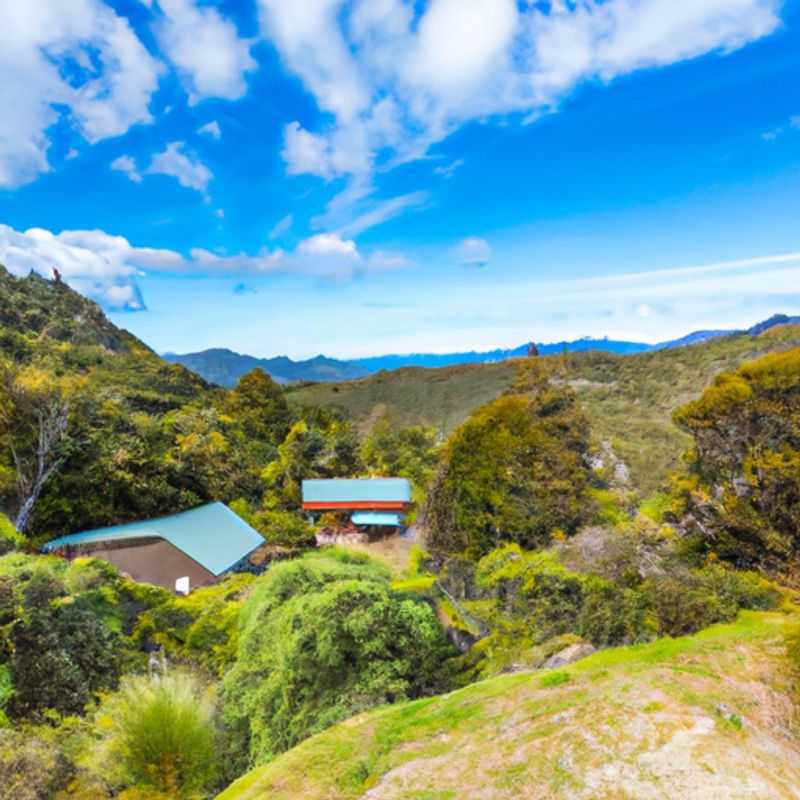 Four intrepid digital nomads embark on a three-day winter adventure along the breathtaking Te Araroa Trail in New Zealand, surrounded by the pristine beauty of native forests and rugged coastlines.