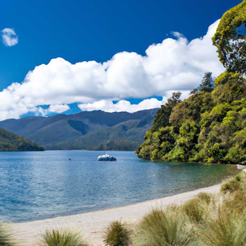 Visita a la bodega de Marlborough en Queen Charlotte Track, Nueva Zelanda, durante el verano