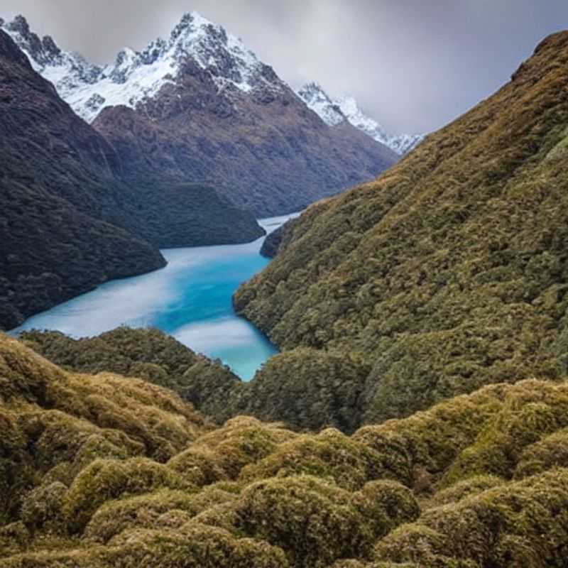 Le Routeburn Track au printemps : météo clémente et aventures mémorables ?<h3>Randonnée printanière en Nouvelle-Zélande : le Routeburn Track vous attend !</h3><h3>Nouvelle-Zélande au printemps : le Routeburn Track, un défi agréable sous un ciel clément ?</h3><h3>Routeburn Track : printemps idéal pour une randonnée inoubliable en Nouvelle-Zélande ?</h3><h3>Partir au printemps sur le Routeburn Track : météo douce et rencontres authentiques en Nouvelle-Zélande.</h3>