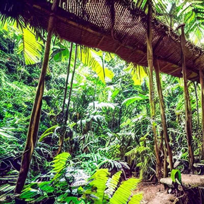 Hydratation et protection solaire : La jungle de Ciudad Perdida en été, bonne idée ou bain de soleil extrême ?<h3>Ciudad Perdida en été : Survivre à la chaleur et aux légendes – Guide du voyageur numérique averti</h3><h3>Trekking à Ciudad Perdida : Hydratation, SPF 50 et mystères ancestraux – Un été riche en aventures !</h3><h3>Soleil, sueur et secrets : Ciudad Perdida, un défi estival pour explorateurs high-tech</h3><h3>La Cité Perdue : Hydratation optimale et protection solaire pour décrypter ses mystères en été</h3>