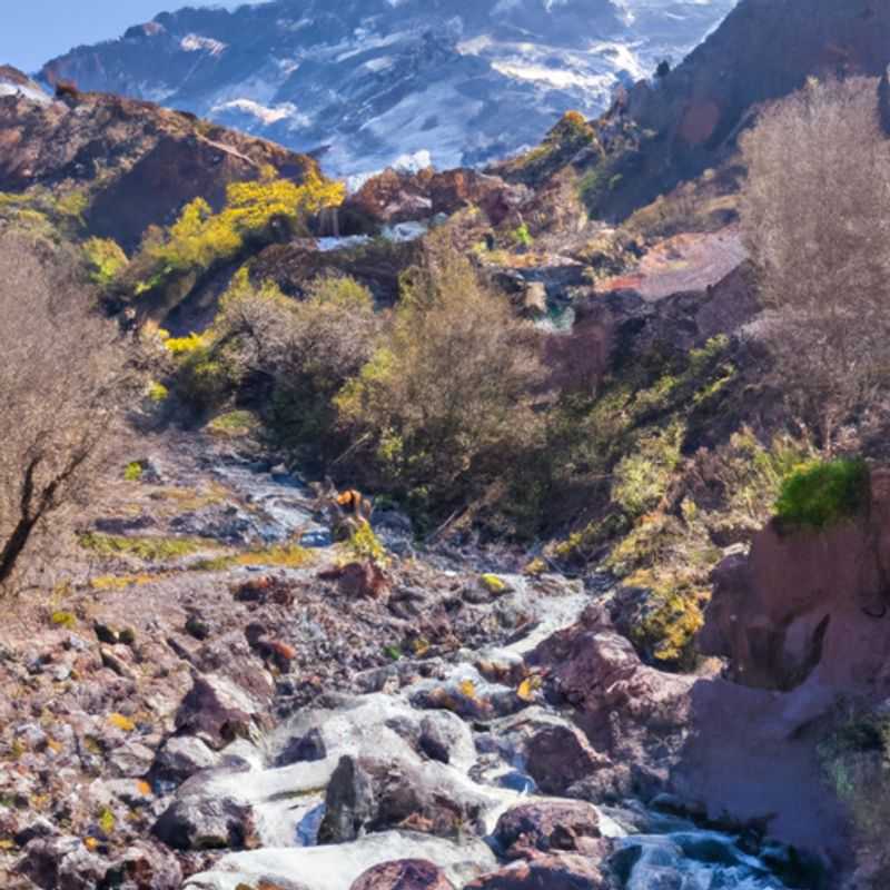 Toubkal's Tasty Tours: Savor Morocco's Winter-Spring Flavors in the Heart of the Atlas