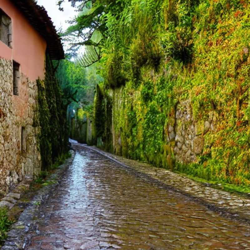 Le Chemin de Compostelle au printemps &#58; un pèlerinage familial hors saison ?<h3>Le printemps sur le Camino &#58;  idéale pour les familles ?  (Moins de monde&#44; plus de charme ?)</h3><h3>Compostelle en famille &#58; éviter la cohue des vacances scolaires !</h3><h3>Camino de Santiago printanier &#58;  aventure familiale au rythme paisible</h3><h3>Chemin de Saint&#45;Jacques au printemps &#58;  l'avis d'un nomade digital (pour familles !)</h3><h3>Espagne printanière &#58; le Camino de Santiago&#44; une escapade familiale hors des sentiers battus ?</h3>