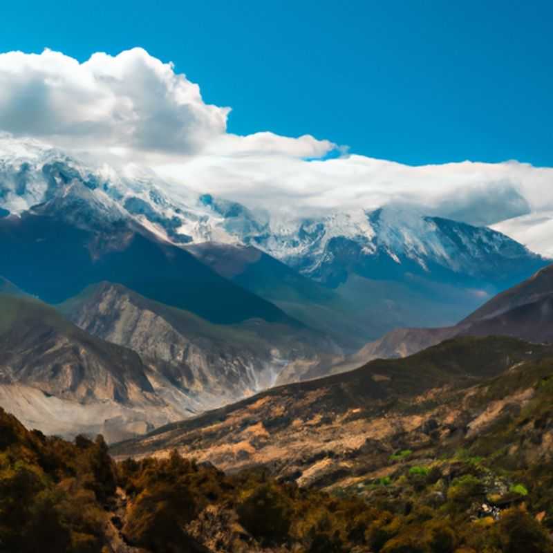 Le yoga et la méditation en plein air : une nouvelle tendance dans l'Annapurna