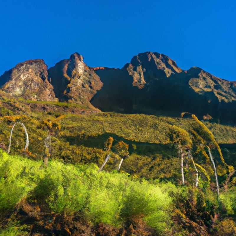 An intrepid group of six adventurers embark on a three-week expedition to the majestic Mountains of the Moon in Uganda, a breathtaking landscape where lush greenery meets rugged peaks, during the cusp of summer and fall, promising both sunshine and crisp autumn air.