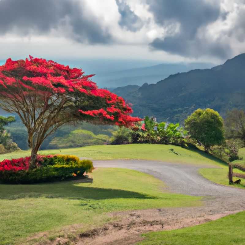 Randonnée nocturne dans la jungle de Monteverde, au Costa Rica, en hiver : un monde enchanté de contes de fées qui s'anime