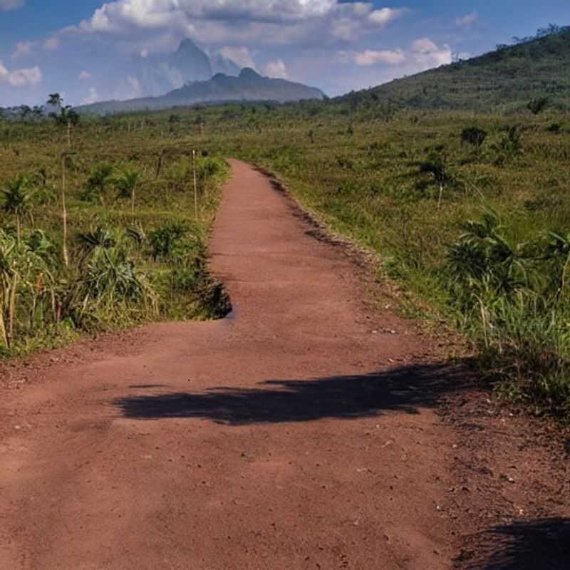 Aproveite o Verão Vibrante da Cidade: Eventos Imperdíveis!<h3>Montanhas da Lua, Uganda: Um Refúgio de Verão? Descubra!</h3><h3>Uganda's Mountains of the Moon: Summer Holiday Hotspot? Let's Explore! (English version for broader reach)</h3>