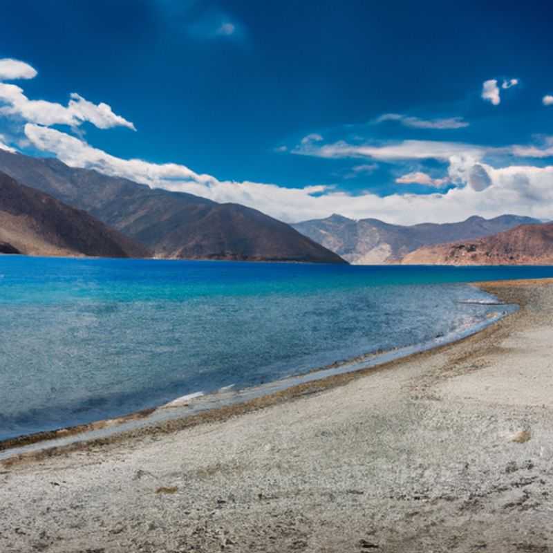 Paseo en camello bactriano por el valle de Nubra en el invierno de Ladakh