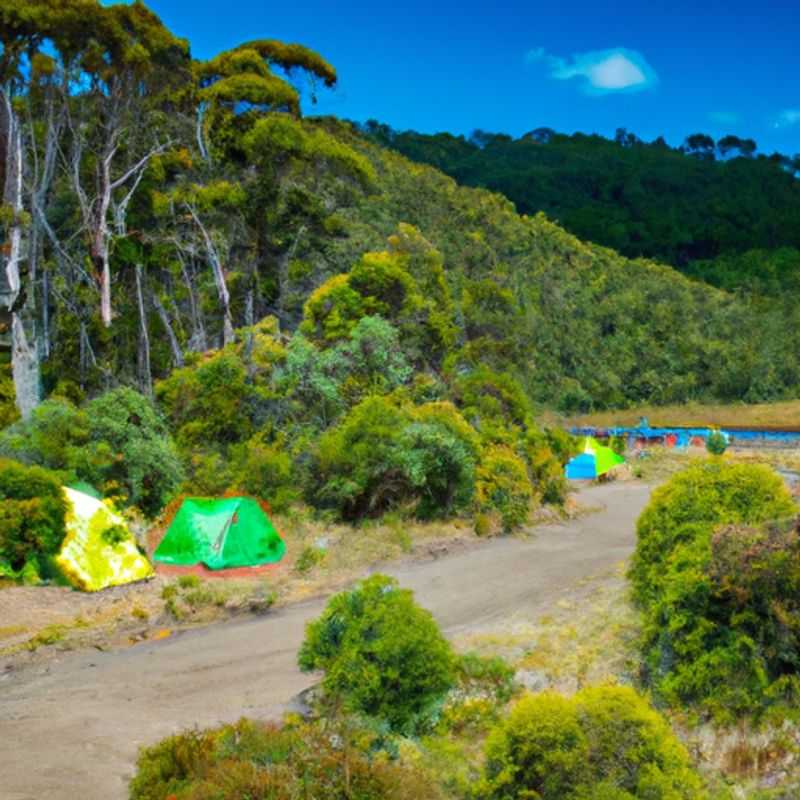 Wildlife Spotting at Waterfall Valley in the Overland Track during Spring
