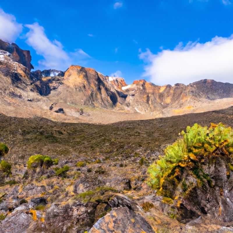 Un voyageur solitaire contemple la majesté du mont Kenya, un géant d'Afrique s'élevant vers le ciel bleu, lors de son expédition d'une semaine entre l'hiver et le printemps dans le pays envoûtant du Kenya.