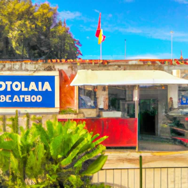 Discover the Vibrant Farmers Market of Odemira&#44; Where Spring Awakes in Rota Vicentina&#44; Portugal