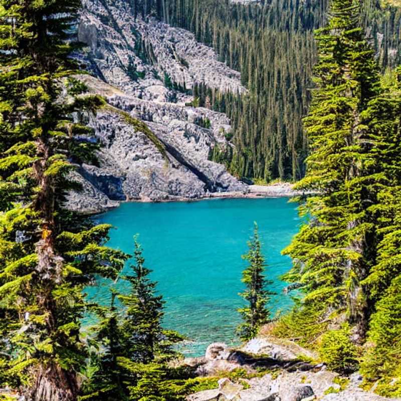 Trilha da Costa Oeste no Verão: Dias mais longos, mais aventura (e será que vale a pena?)<h3>Sol da Meia-Noite e Aventura: A Costa Oeste do Canadá no Verão - Vale a Pena?</h3><h3>West Coast Trail no Verão: Aproveitando ao Máximo as Horas de Sol - Um Guia Digital de Mochileiro</h3><h3>Mais Sol, Mais Exploração: A Trilha da Costa Oeste do Canadá é Ideal para as Férias de Verão?</h3><h3>Caçando o Sol na Costa Oeste: Um Verão de Aventuras e Histórias na Trilha Canadense</h3><h3>Trilha da Costa Oeste: O Sol de Verão Ilumina a Aventura - Um Relato de Jornada</h3>