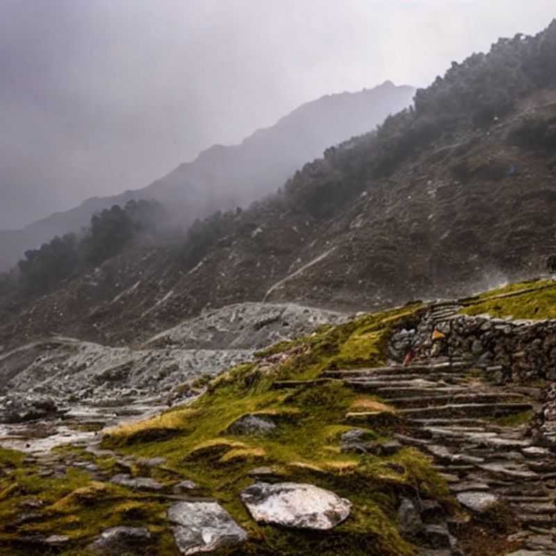 ¿Chopta Chandrashila en primavera? ¡Precios bajos y aventura asegurada!<h3>Primavera en Chopta Chandrashila: ¡Descubre la magia de la temporada baja!</h3><h3>Trekking en Chopta Chandrashila: ¿Es primavera la mejor época?</h3><h3>¡Ahorra en tu viaje a Chopta Chandrashila esta primavera!</h3><h3>Primavera en el Trek Chopta Chandrashila: ¡Menos gente, más aventura!</h3><h3>Chopta Chandrashila en primavera: Guía para un viaje inolvidable</h3><h3>Descubre Chopta Chandrashila: La primavera, una temporada mágica para explorar</h3><h3>¿Vacaciones de primavera en Chopta Chandrashila? ¡Te cuento mi experiencia!</h3><h3>Chopta Chandrashila: ¡El mejor destino para tu escapada de primavera!</h3><h3>¡Planifica tu aventura de primavera en Chopta Chandrashila!</h3>