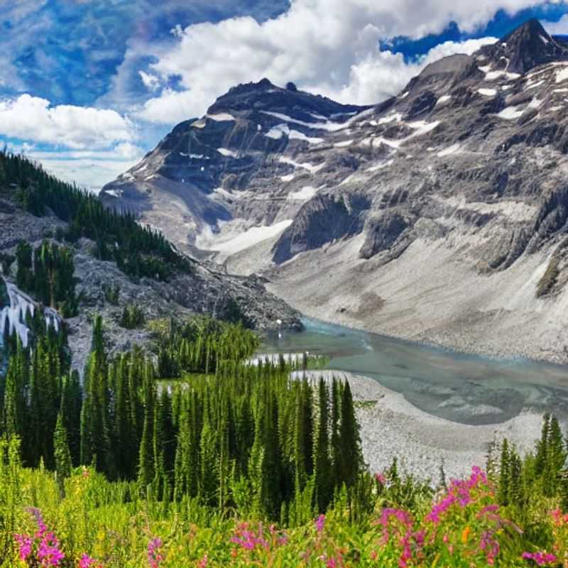 Here are a few options for alt text, each with a slightly different emphasis: