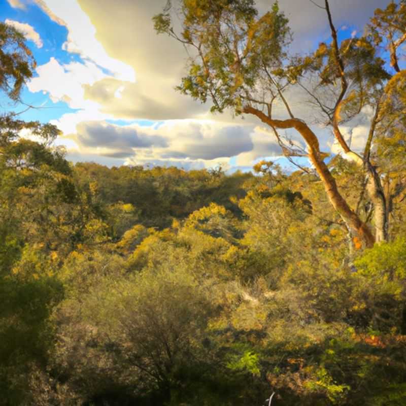 Bibbulmun Track&#58; A Winter Wonderland at Giants Campsite&#44; Australia