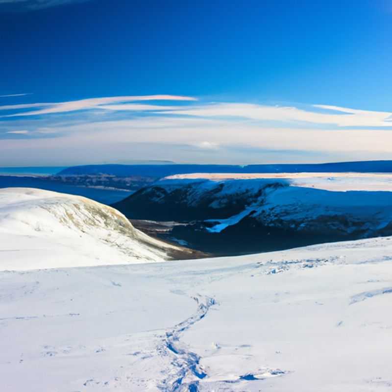 How to Survive in the Wilderness: Winter Survival Skills Workshop in Long Range Traverse, Newfoundland, Canada