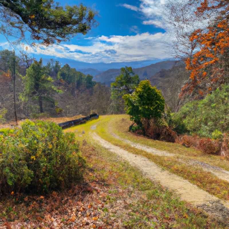 Spring into Adventure: Unveiling the Enchanting Foothills Trail in Table Rock State Park
