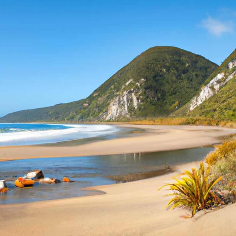 James Mackay Campsite: A Haven for Tranquility and Discovery on the Heaphy Track