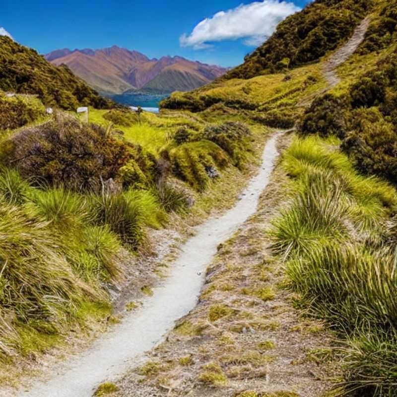 Te Araroa na Primavera: Festival de Cultura e Aventura na Nova Zelândia!<h3>Primavera na Trilha Te Araroa: Uma Aventura Kiwi sob o Sol!</h3><h3>Descubra a Nova Zelândia na Primavera: Te Araroa e seus Festivais!</h3><h3>Te Araroa na Sua Spring Break: Sol, Cultura e Muito Trekking!</h3><h3>Mochila nas Costas e a Primavera na Nova Zelândia: Aventura na Te Araroa!</h3><h3>Te Araroa Trail: A melhor Spring Break para amantes da natureza e cultura?</h3><h3>Nova Zelândia na Primavera: Te Araroa e os encantos da estação das flores!</h3><h3>Spring Break Kiwi: Trilha Te Araroa, Festivais e Paisagens de tirar o fôlego!</h3><h3>Experimente a Te Araroa na Primavera: Uma viagem inesquecível pela Nova Zelândia!</h3><h3>Trilha Te Araroa na Primavera: Vale a pena para a sua Spring Break?</h3>