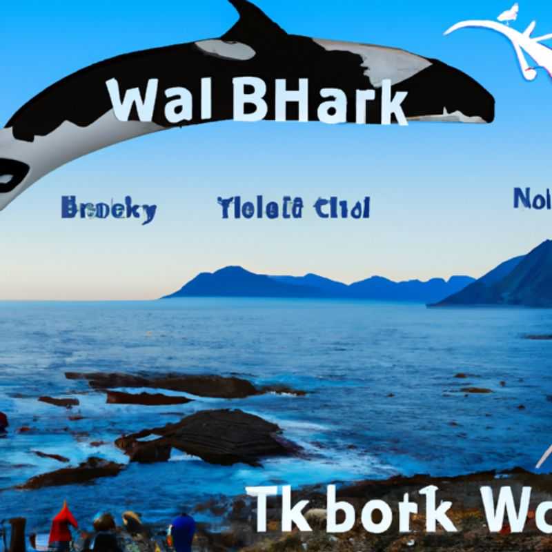 Winter Solace&#58; A Journey to the Warm Embrace of Hanmer Springs on the Te Araroa Trail