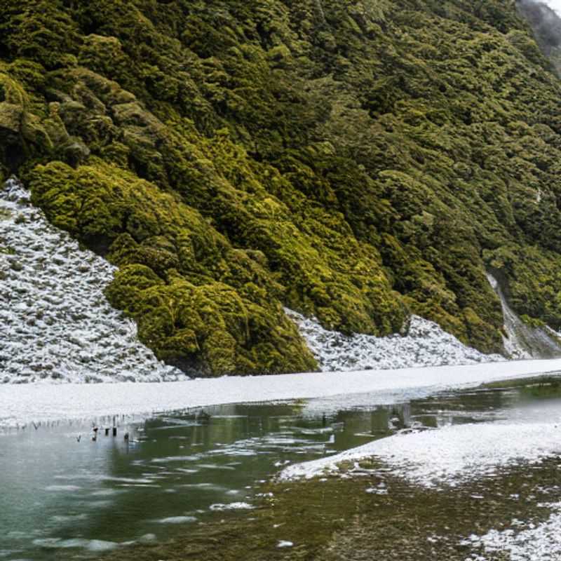 Vue imprenable sur le Milford Track, Nouvelle-Zélande, baigné de soleil, l'aventure estivale parfaite pour des vacances inoubliables.