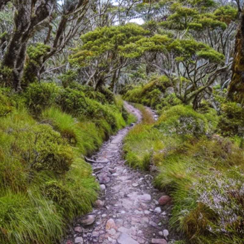 Le Sentier Te Araroa en été : Proximité des sites touristiques néo-zélandais - Un été inoubliable ?<h3>Te Araroa et les joyaux néo-zélandais : vacances estivales à portée de randonnée ?</h3><h3>Soleil, sentiers et sites emblématiques : le Te Araroa, une escapade estivale idéale en Nouvelle-Zélande ?</h3><h3>Randonnée estivale et tourisme : le sentier Te Araroa, un allié pour explorer la beauté néo-zélandaise ?</h3><h3>Nouvelle-Zélande en été : Le Te Araroa, à proximité des incontournables ?</h3><h3>Vacances d'été en Nouvelle-Zélande : Le sentier Te Araroa, une aventure proche des sites touristiques ?</h3><h3>Explorer la Nouvelle-Zélande autrement : Le Te Araroa, un été au cœur des paysages et des attractions ?</h3><h3>Te Araroa : Randonnée et tourisme, un été magique en Nouvelle-Zélande ?</h3>