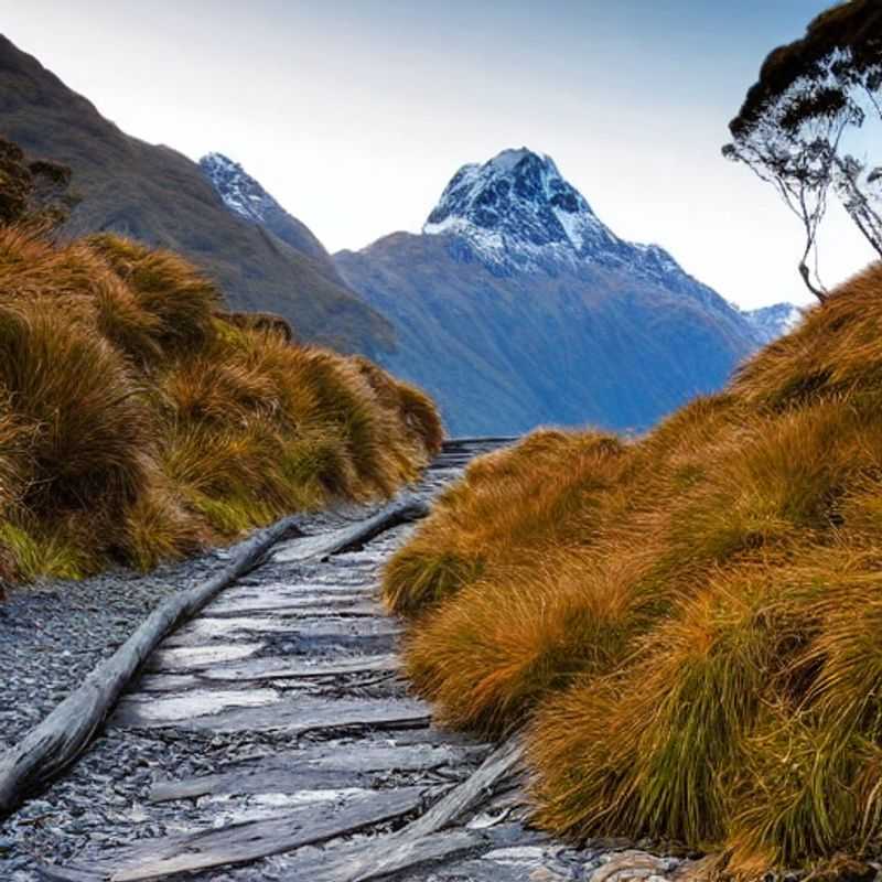 Moins de monde, plus d'intimité : Le Routeburn Track en été, une bonne idée ?<h3>Routeburn Track, Nouvelle-Zélande : Été en toute intimité (moins de monde = plus de magie!)</h3><h3>Vacances d'été en Nouvelle-Zélande : Le Routeburn Track, loin des foules !</h3><h3>Le Routeburn Track en été : une expérience plus intime grâce à moins de monde</h3><h3>Nouvelle-Zélande : Été sur le Routeburn Track - Intimité et sérénité garanties</h3>