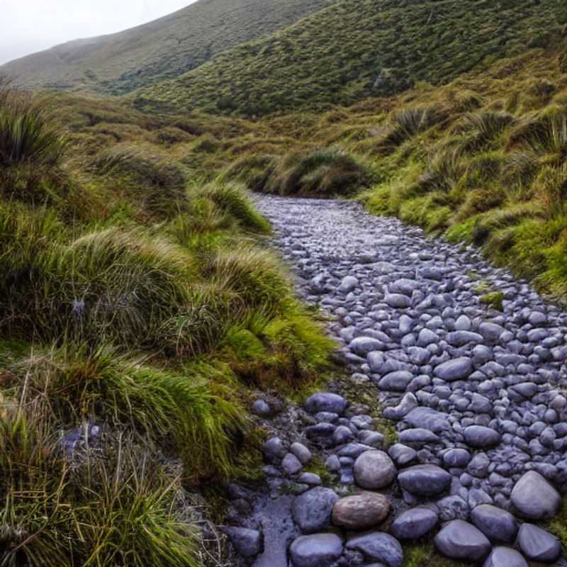 Paysage époustouflant du sentier Te Araroa en Nouvelle-Zélande, capturant l'essence de son attrait estival, parfait pour une aventure inoubliable pendant les vacances d'été.