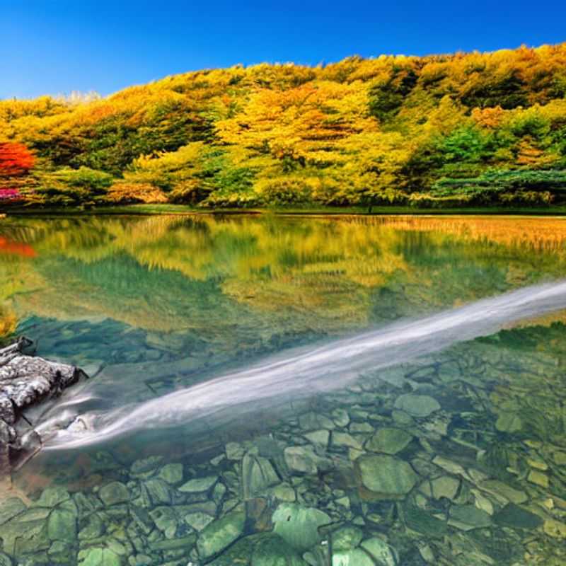 Alt Text: Hokkaido en été : champs de lavande vibrants et ciel bleu azur. Est-ce la destination estivale parfaite ? Découvrez-le ! (Hokkaido in summer: Vibrant lavender fields and azure blue sky. Is it the perfect summer destination? Find out!)