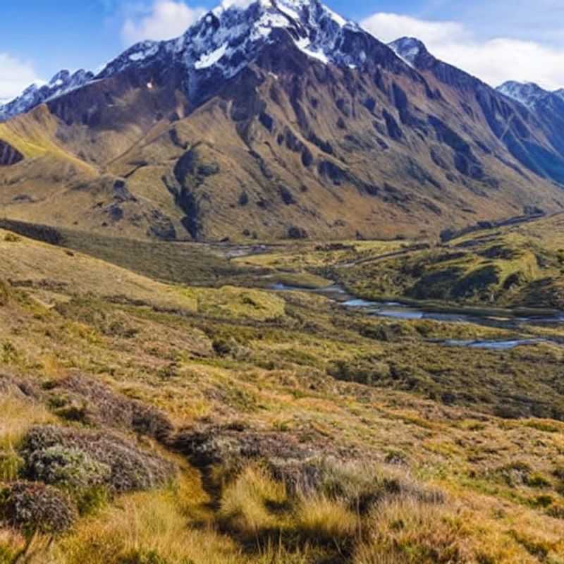 Sentier Te Araroa, Nouvelle-Zélande, serpentant à travers un paysage verdoyant et baigné de soleil – une invitation à l'aventure estivale idéale pour les amoureux de la nature. (Te Araroa Trail, New Zealand, winding through a lush, sun-drenched landscape - an invitation to the ideal summer adventure for nature lovers.)
