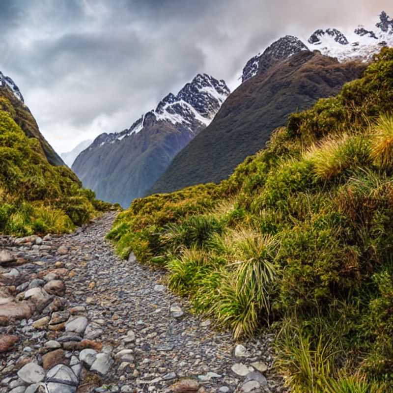 ¡Sabores de Otoño en Italia: Una Fiesta para el Paladar!<h3>¿El Camino Routeburn en Nueva Zelanda es Ideal para tus Vacaciones de Verano?</h3>
