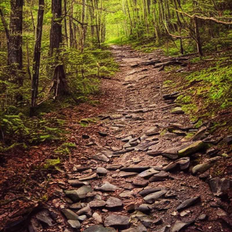 Sendero de los Apalaches bajo el sol de verano: explora si esta aventura americana es ideal para tus vacaciones de verano. (Appalachian Trail under the summer sun: Explore if this American adventure is ideal for your summer holiday.)