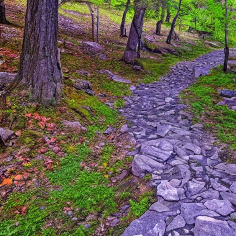 Activités et festivals saisonniers : L'Appalachian Trail est-il idéal pour des vacances d'été ?<h3>Saisonnalité et événements : Explorer l'Appalachian Trail en été</h3><h3>Vacances d'été sur l'Appalachian Trail : Activités saisonnières et événements à ne pas manquer</h3><h3>Appalachian Trail été : Un itinéraire hors des sentiers battus pour les festivals et activités saisonniers</h3><h3>L'Appalachian Trail en été : Profiter des festivals et activités tout en évitant les pièges à touristes</h3><h3>Explorer l'Appalachian Trail : Guide pratique pour les vacances d'été, festivals et activités locales</h3><h3>Été sur l'Appalachian Trail : Un voyage authentique au cœur des festivals et activités saisonniers</h3><h3>Randonnée estivale sur l'Appalachian Trail : Optimiser votre expérience en évitant les foules et en découvrant des trésors cachés</h3><h3>Appalachian Trail : Le guide du voyageur numérique pour des vacances d'été riches en culture et en authenticité</h3><h3>Vacances économiques et authentiques sur l'Appalachian Trail : Explorez les festivals et les activités estivales</h3>