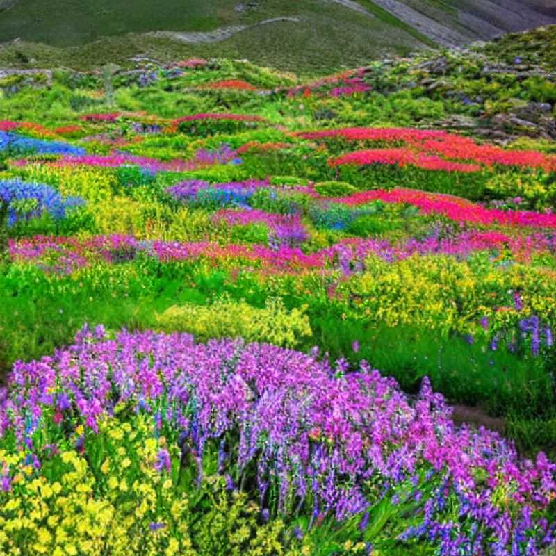 Trilha da Crista do Pacífico no Verão: Temperaturas amenas para aventuras ao ar livre?<h3>Verão na Pacific Crest Trail: Clima ameno e atividades outdoor!</h3><h3>Pacific Crest Trail: Fuja do calor do verão e explore trilhas incríveis!</h3><h3>Trilha da Crista do Pacífico: O verão ideal para caminhadas? Descubra!</h3><h3>A Pacific Crest Trail no verão: Um paraíso para amantes de atividades ao ar livre com temperaturas perfeitas!</h3>