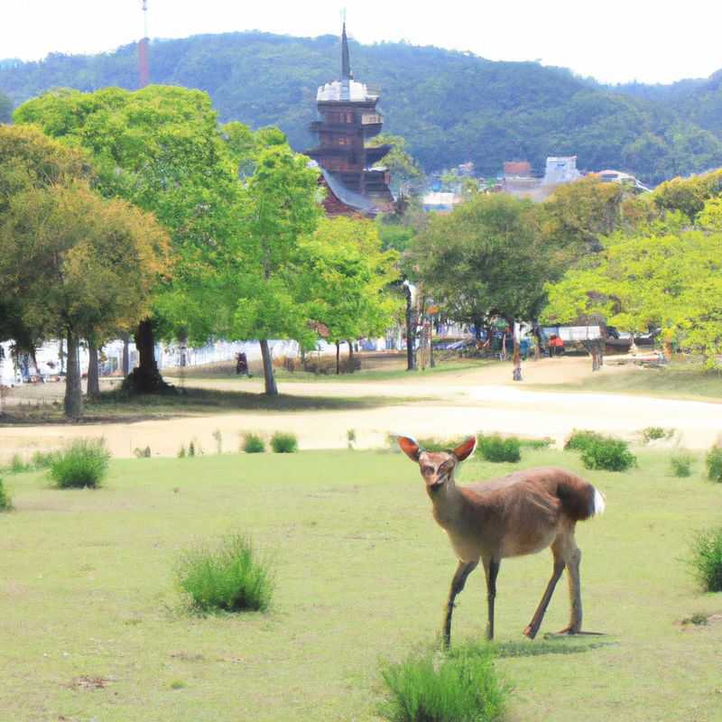 Visit the Kinkaku-ji (Golden Pavilion) in Kyoto, Japan during Winter: A Winter Wonderland with a Golden Gleam