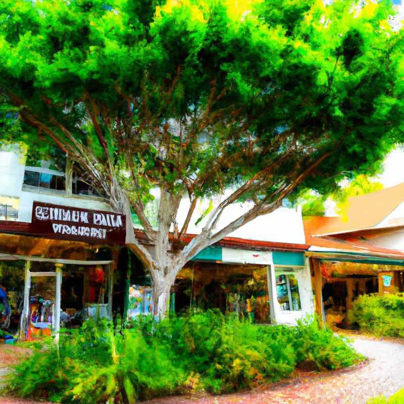 Maui Ocean Center: An Undersea Adventure in Paradise