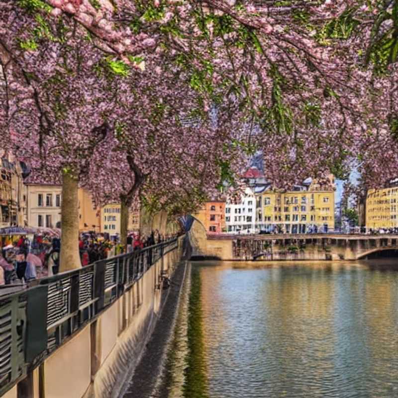 Dresde au printemps : une image idyllique de la ville, parfaite pour une escapade printanière.
