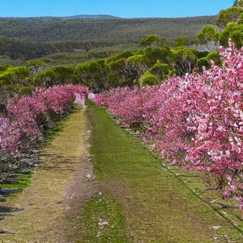 Tasmanie au printemps : un séjour abordable et inoubliable ?<h3>Tasmanie printanière : économies garanties pour des vacances de rêve !</h3><h3>Sac à dos prêt ? La Tasmanie accessible à tous au printemps !</h3><h3>Printemps en Tasmanie : aventure et budget sous contrôle !</h3><h3>Chasse aux aubaines : la Tasmanie pour des vacances de printemps pas chères !</h3><h3>Vacances printanières en Tasmanie : le guide pour voyager malin !</h3><h3>Tasmanie : le printemps, la saison idéale pour un voyage économique !</h3><h3>Escapade printanière en Tasmanie : moins cher, plus d'aventure !</h3>