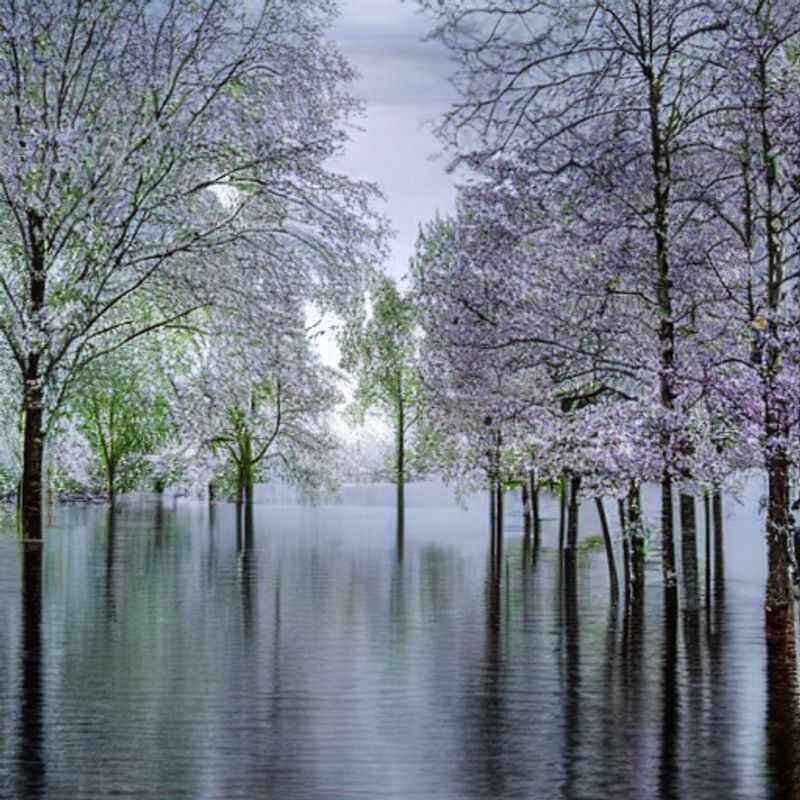 Kemi, Finlande, au printemps : une image idyllique de la ville, peut-être montrant la neige qui fond, la glace qui se brise, ou des couleurs printanières naissantes.